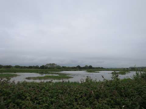 RSPB Hollesley Marshes photo